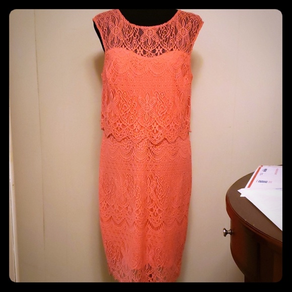 size 8 petite dresses